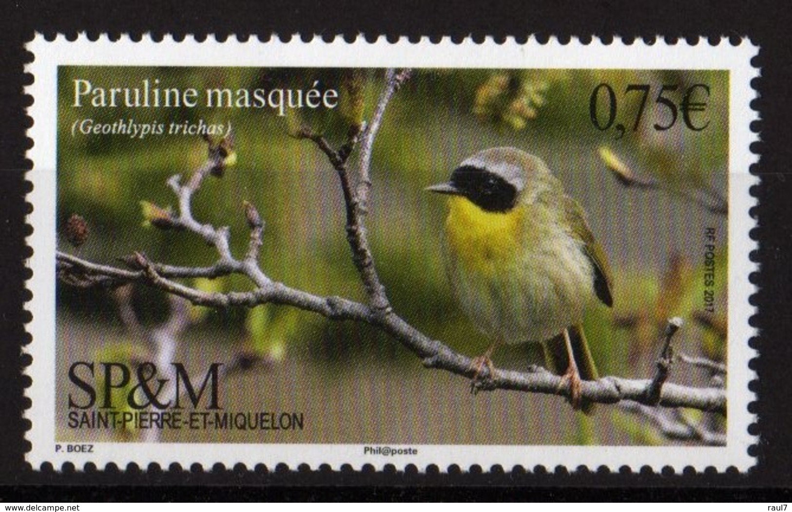 St Pierre Et Miquelon 2017 - Faune, Oiseau Paruline Masquée - 1 Val Neufs // Mnh - Neufs