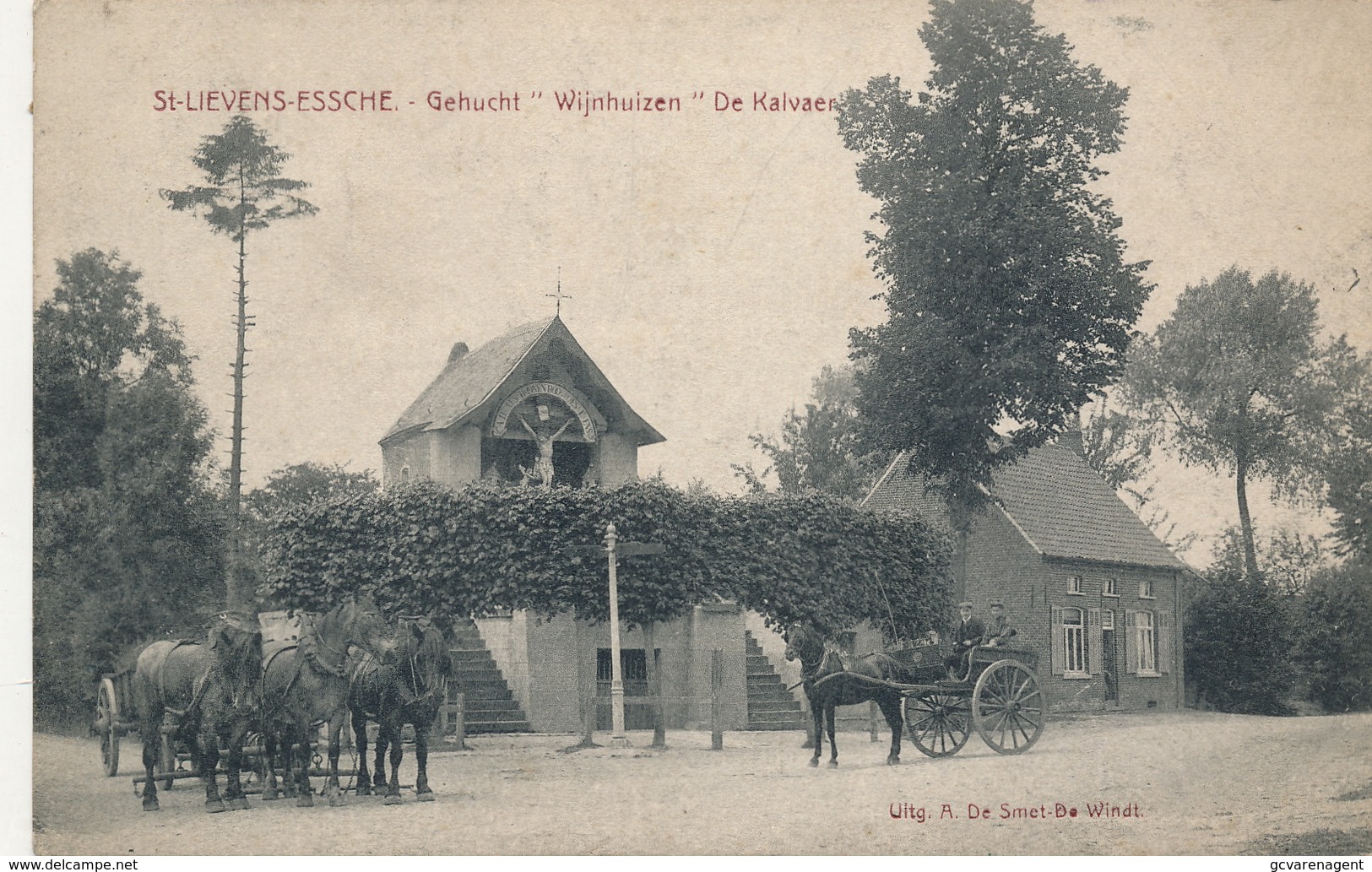 SINT LIEVENS ESSE (ESSCHE) - GEHUCHT ,, WIJNHUIZEN '' DE KALVAER - Assenede