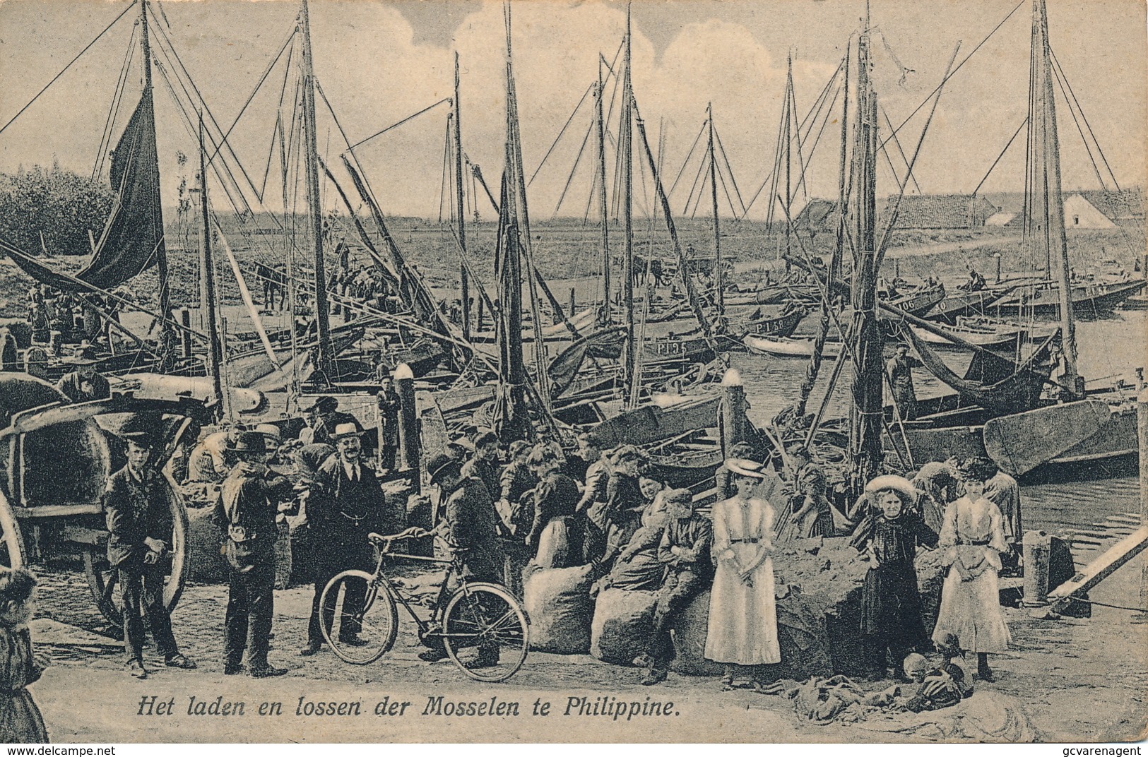 PHILIPPINE - HET LADEN EN LOSSEN DER MOSSELEN TE PHILIPPINE - Terneuzen