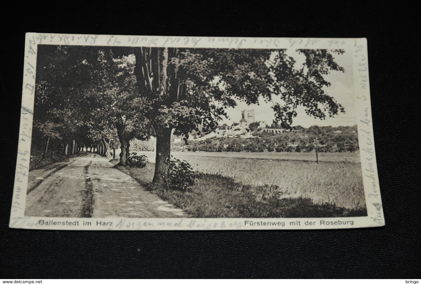 478- Ballenstedt Im Harz, Fürstenweg Mit Der Roseburg - Ballenstedt