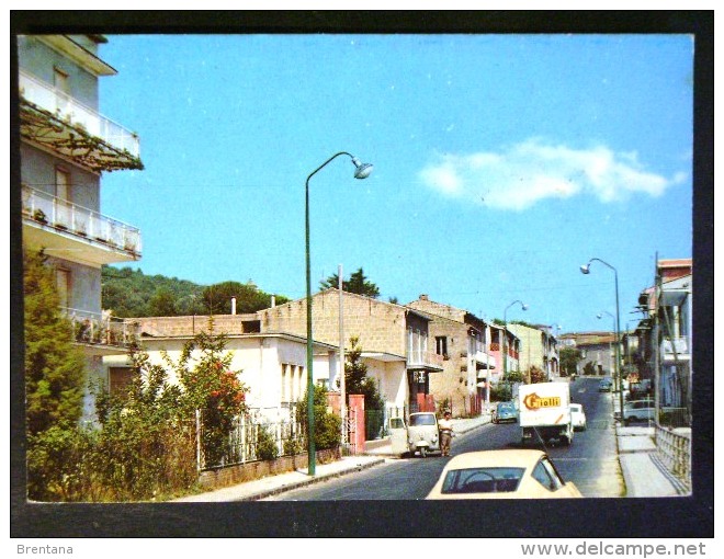 CAMPANIA -CASERTA -ALVIGNANO -F.G. LOTTO N° 580 - Caserta