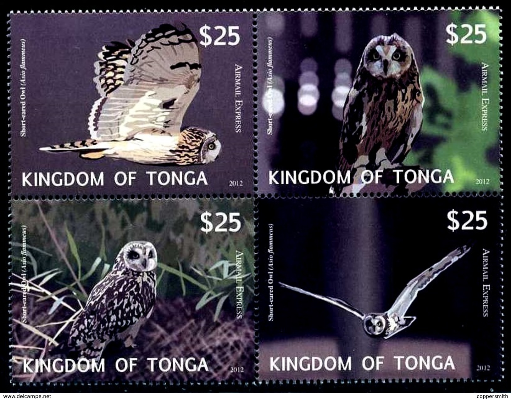 (024) Tonga   Birds / Owls / Oiseaux / Hiboux / Vögel / Eulen   ** / Mnh  Michel 1797-1800 - Tonga (1970-...)