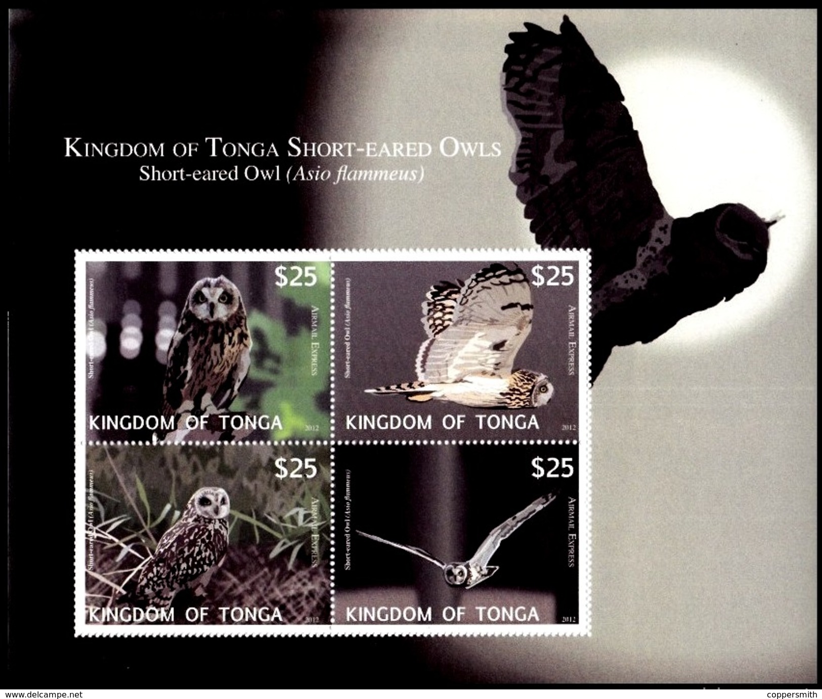 (025) Tonga   Birds / Owls Sheet / Bf / Bloc Oiseaux / Hiboux / Vögel / Eulen   ** / Mnh  Michel BL 57 - Tonga (1970-...)