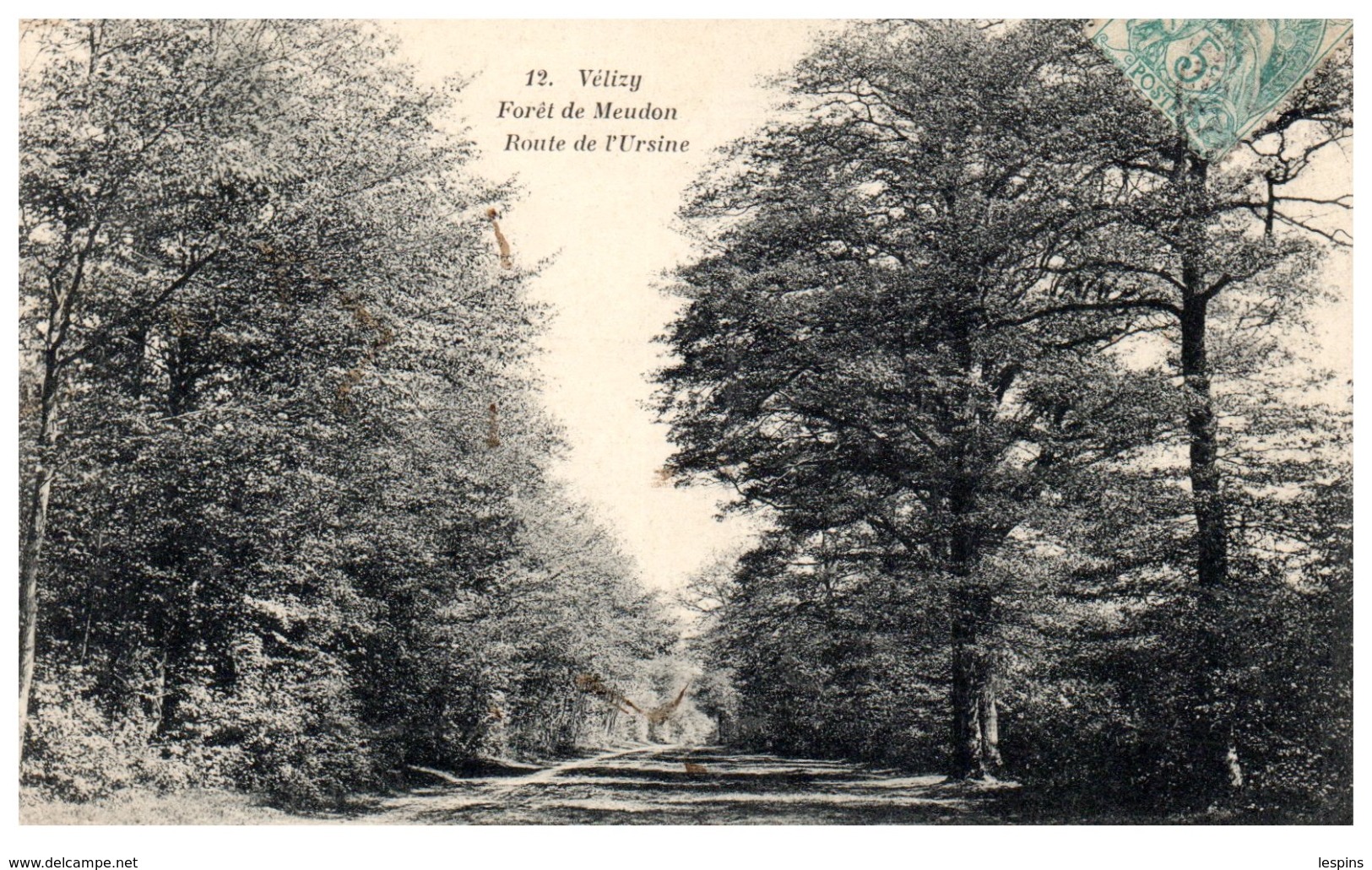 78 - VELIZY --  Forêt De Meudon - Route De L'Ursine - Velizy
