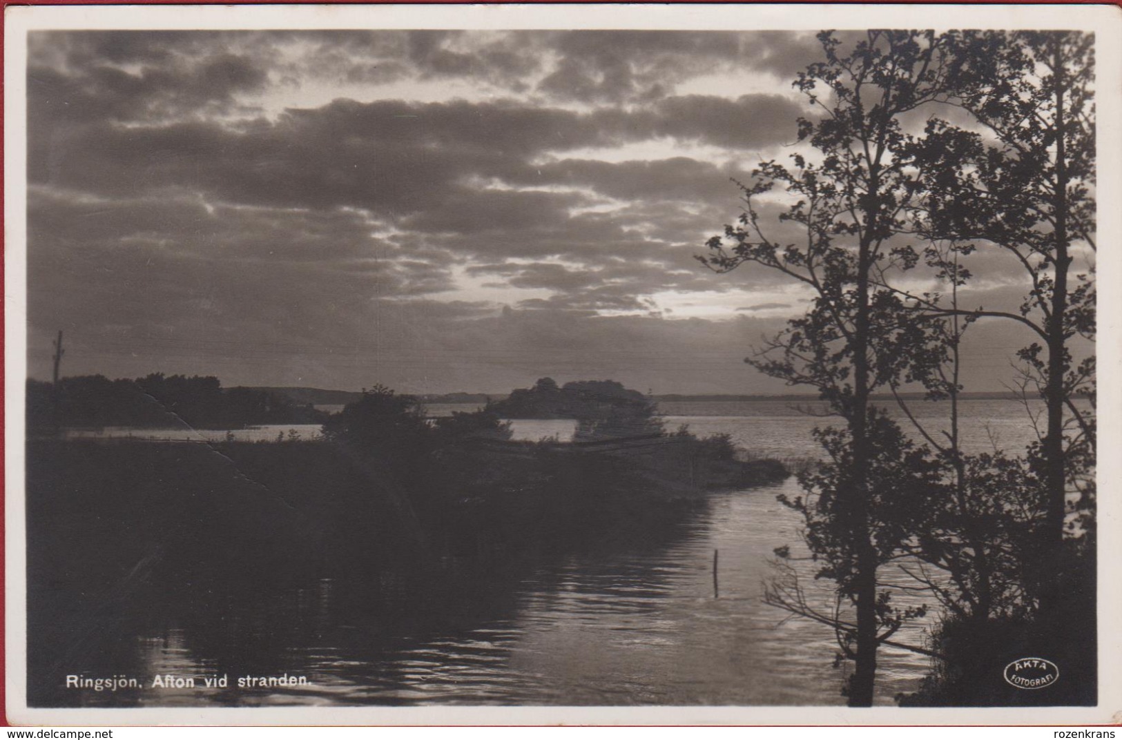 Sweden Sverige Zweden Suède Schweden Ringsjon Afton Vid Stranden Västra Ringsjön CARTE PHOTO Photocard Real Photo - Suède