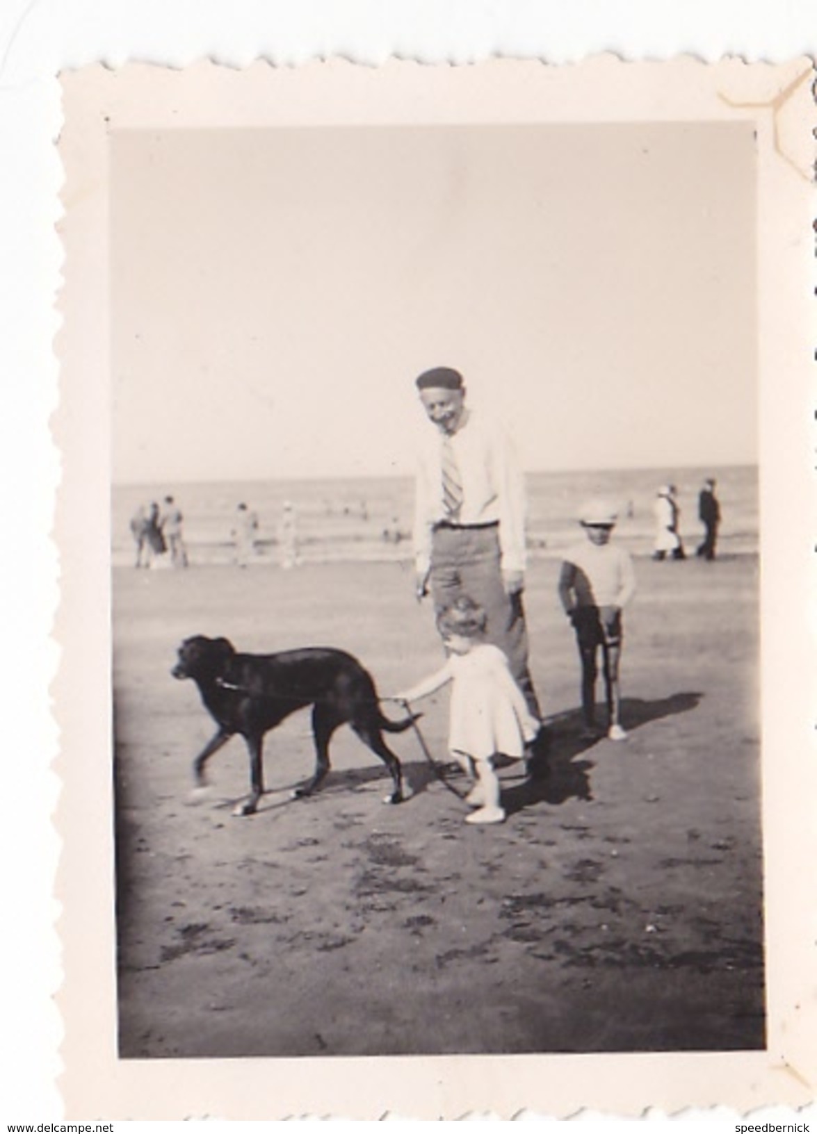 26115 Quatre Photo Erquy (22 France ) (sans Doute?) -la Plage 1937 -Rennes 35 Enfant  Villa Famille -plongeon Chien - Places