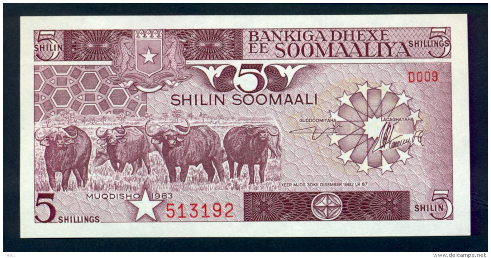 Banconota Somalia 5 Shillings 1982 FDS - Somalia