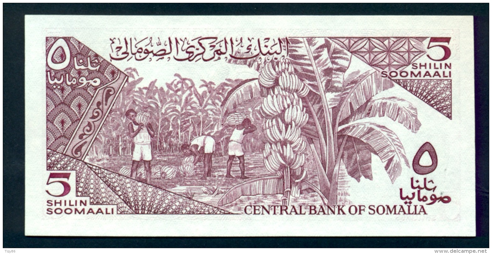 Banconota Somalia 5 Shillings 1982 FDS - Somalia