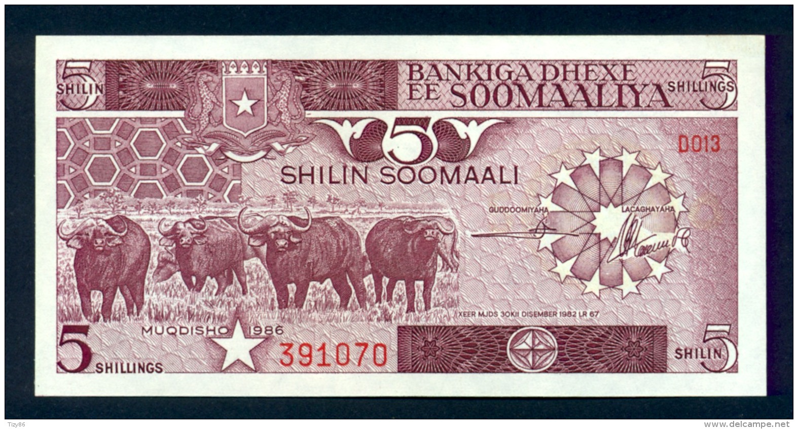 Banconota Somalia 5 Shillings 1982 FDS - Somalie