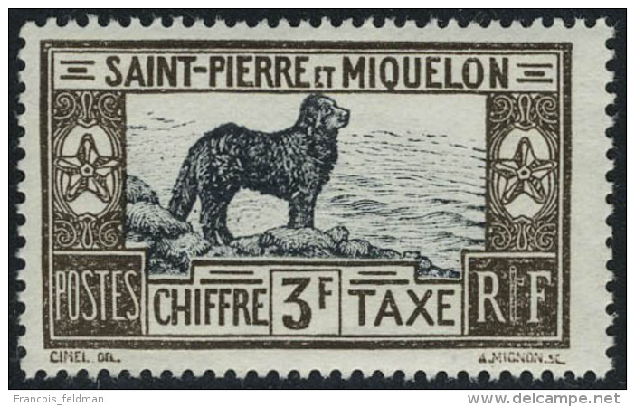 Neuf Sans Charni&egrave;re N&deg; 21/31, La S&eacute;rie Chiens De Terre Neuve, T.B. - Autres & Non Classés