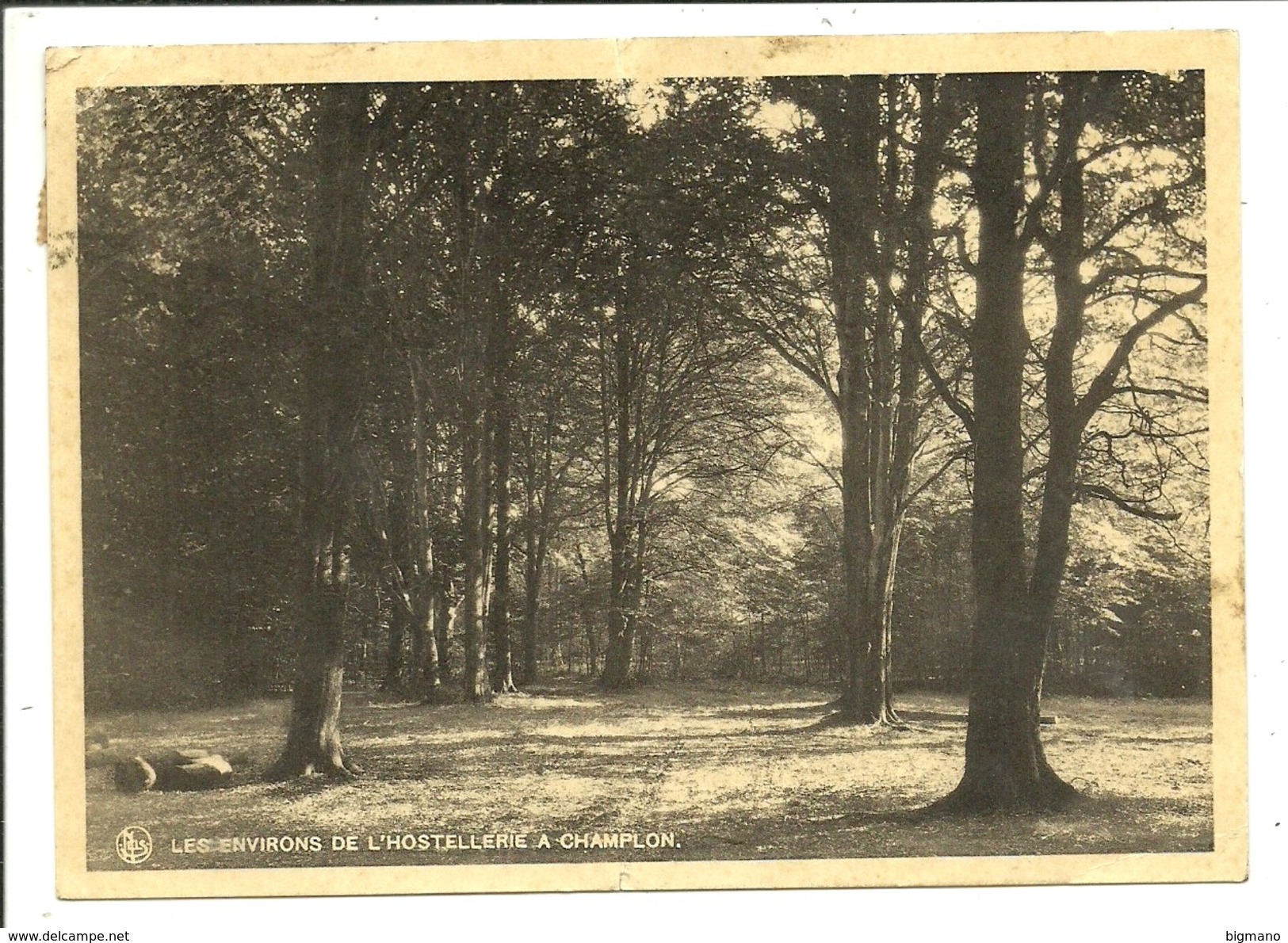 Champlon Environs De L'Hostellerie - Tenneville