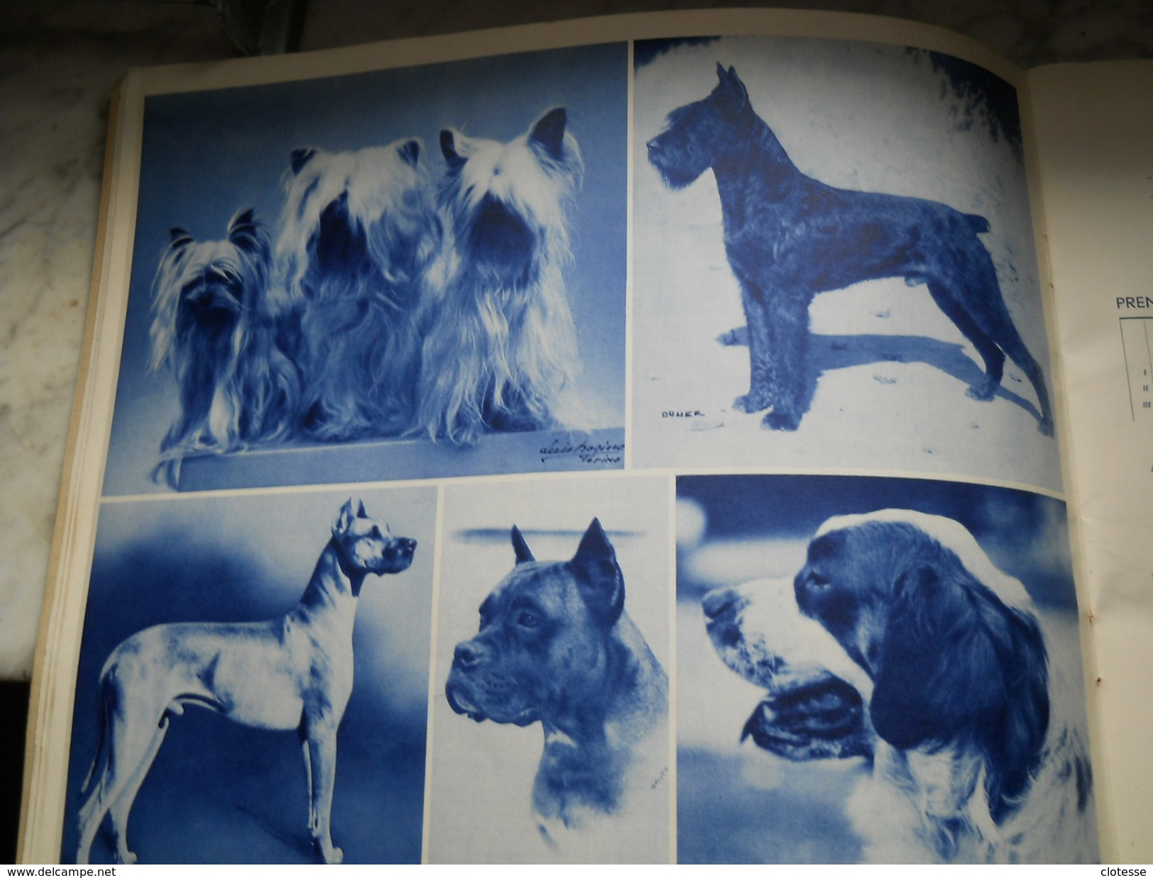 Mostra Canina Chiens Cani 1935 - Oorlog 1939-45