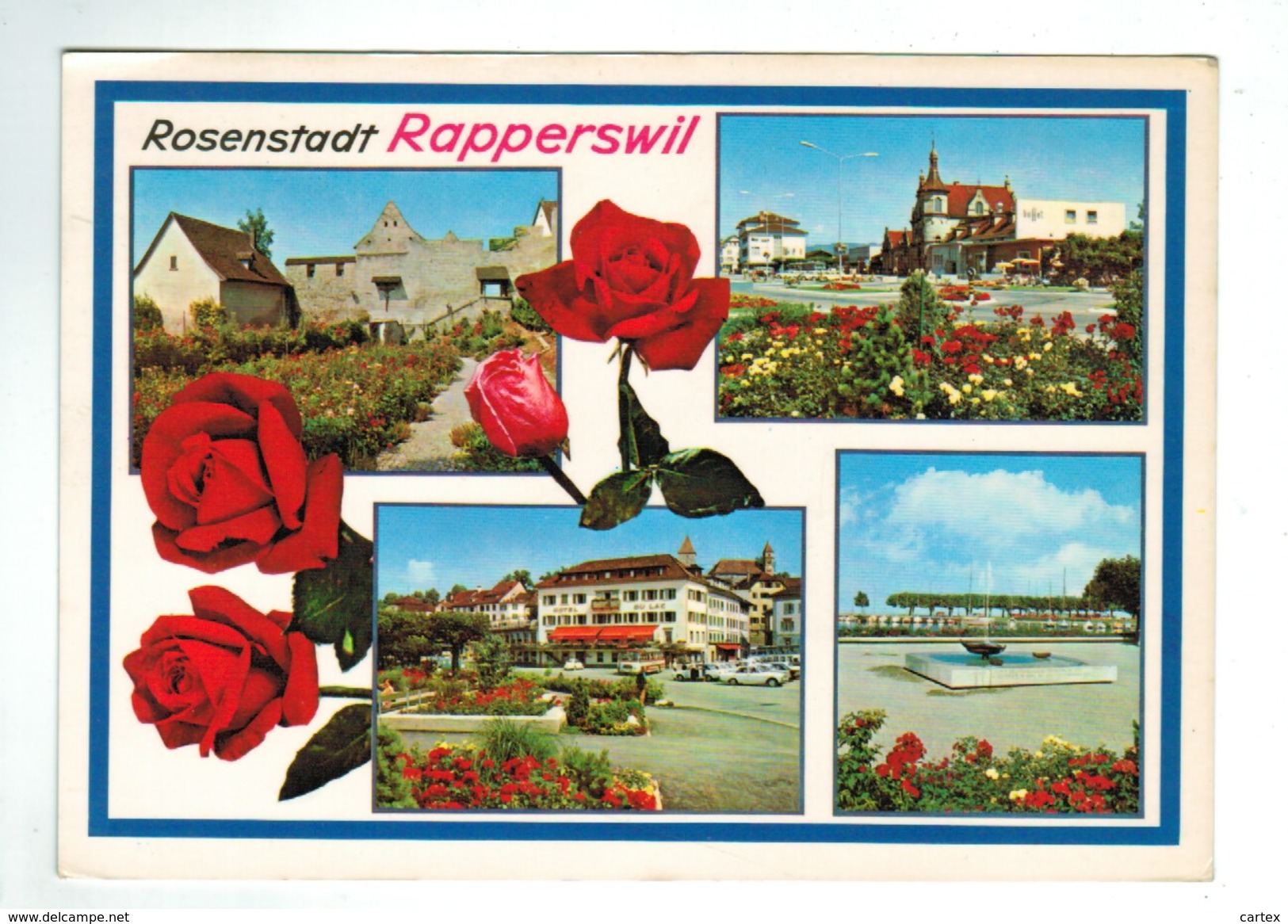 14877  CPM   Rosenstadt RAPPERSWIL :  Multivues 1970  , - Rapperswil-Jona