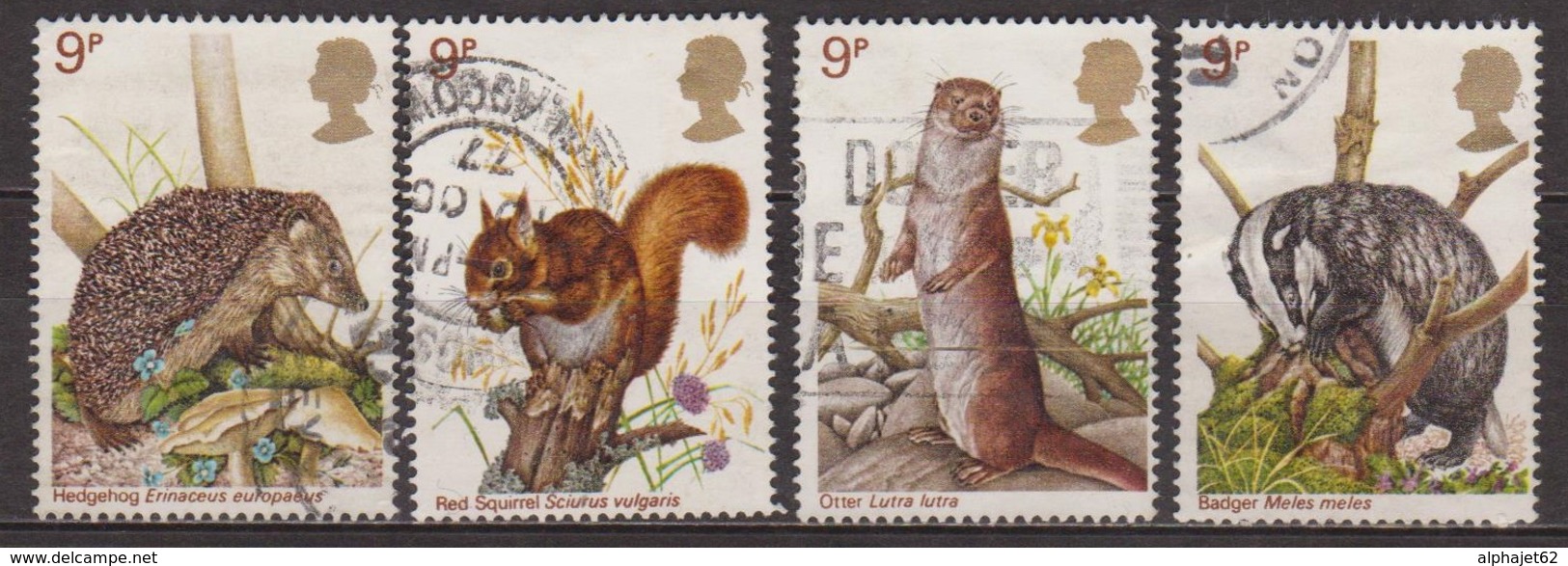 Faune, Animaux Sauvages - GRANDE BRETAGNE - 1977 - Hérisson, Ecureuil, Loutre, Blaireau- N° 835-837-838-839 - Gebruikt