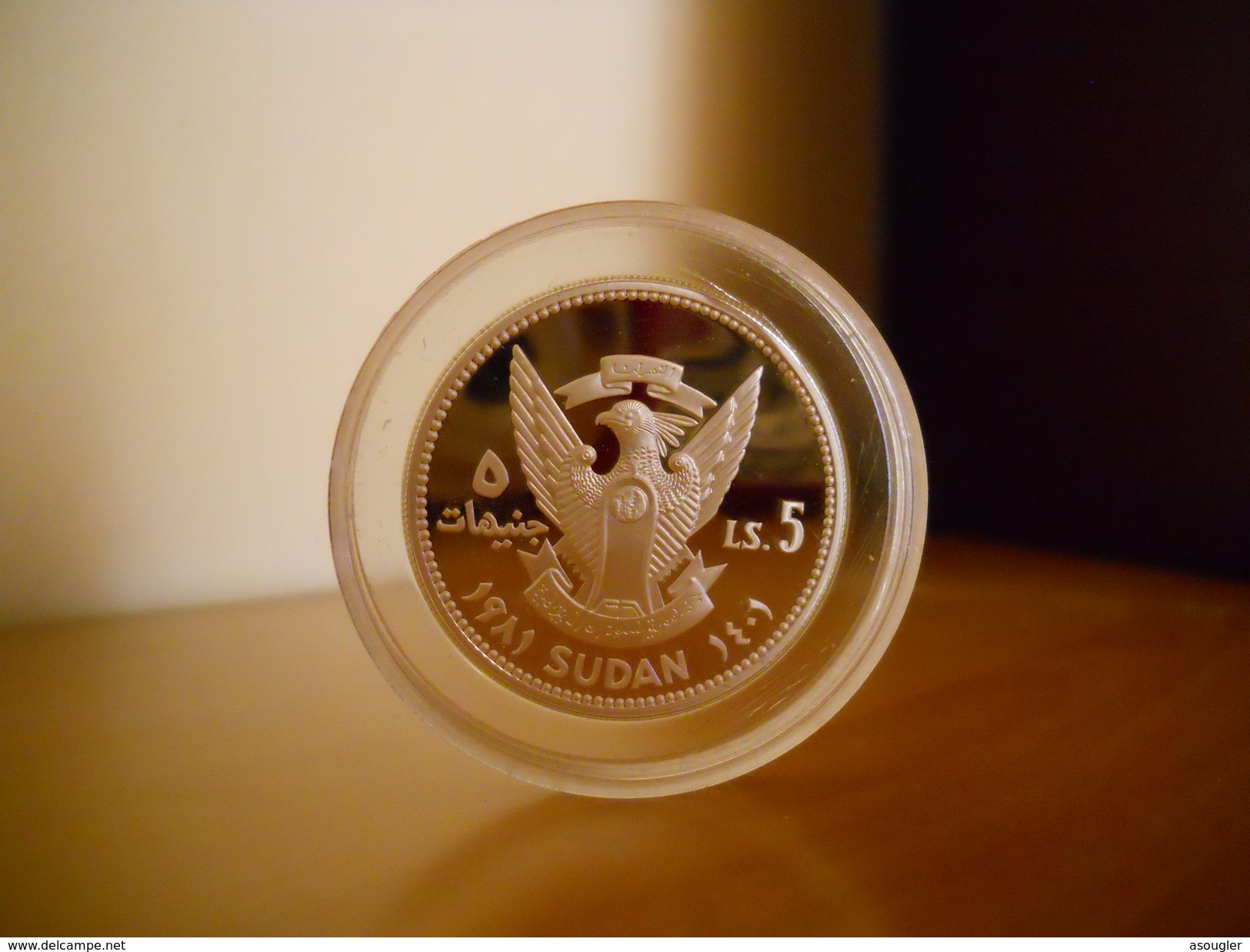 SUDAN 5 POUNDS 1981 SILVER PROOF "International Year Of The Child" Free Shipping Via Registered Air Mail - South Sudan