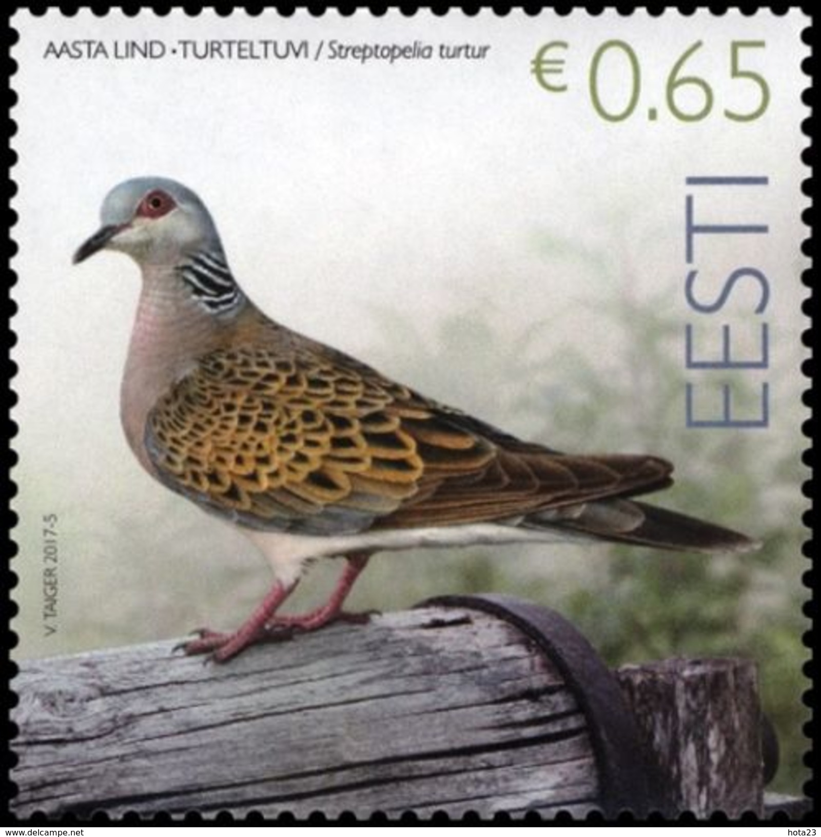 ESTONIA ESTLAND 2017 BIRD OF THE YEAR &ndash; TURTLEDOVE MNH - Estland