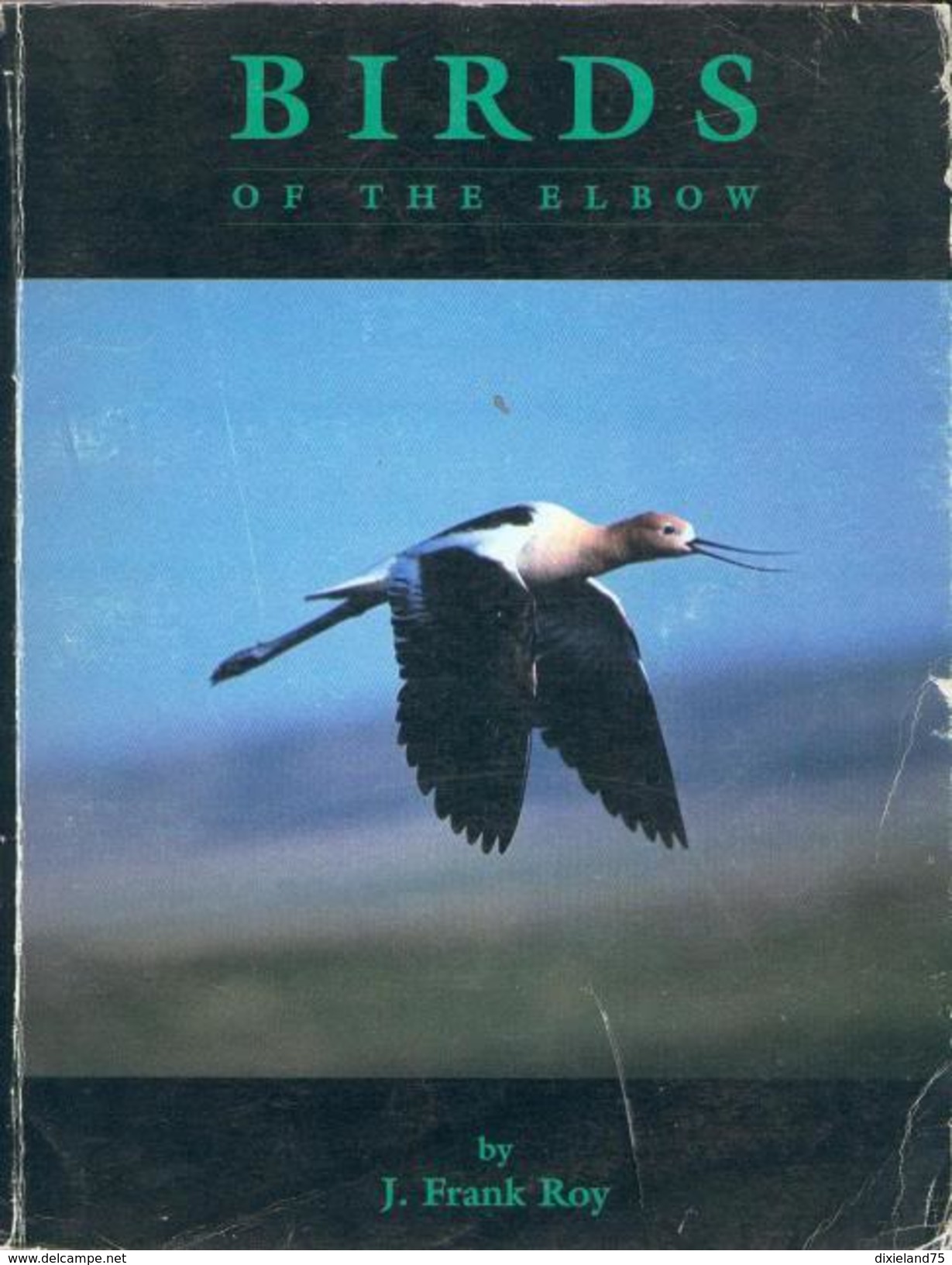 Birds Of The Elbow 1996 F. Roy BIRD OISEAU ORNITHOLOGIE Ecologie Animaux Nature Science - Vida Salvaje