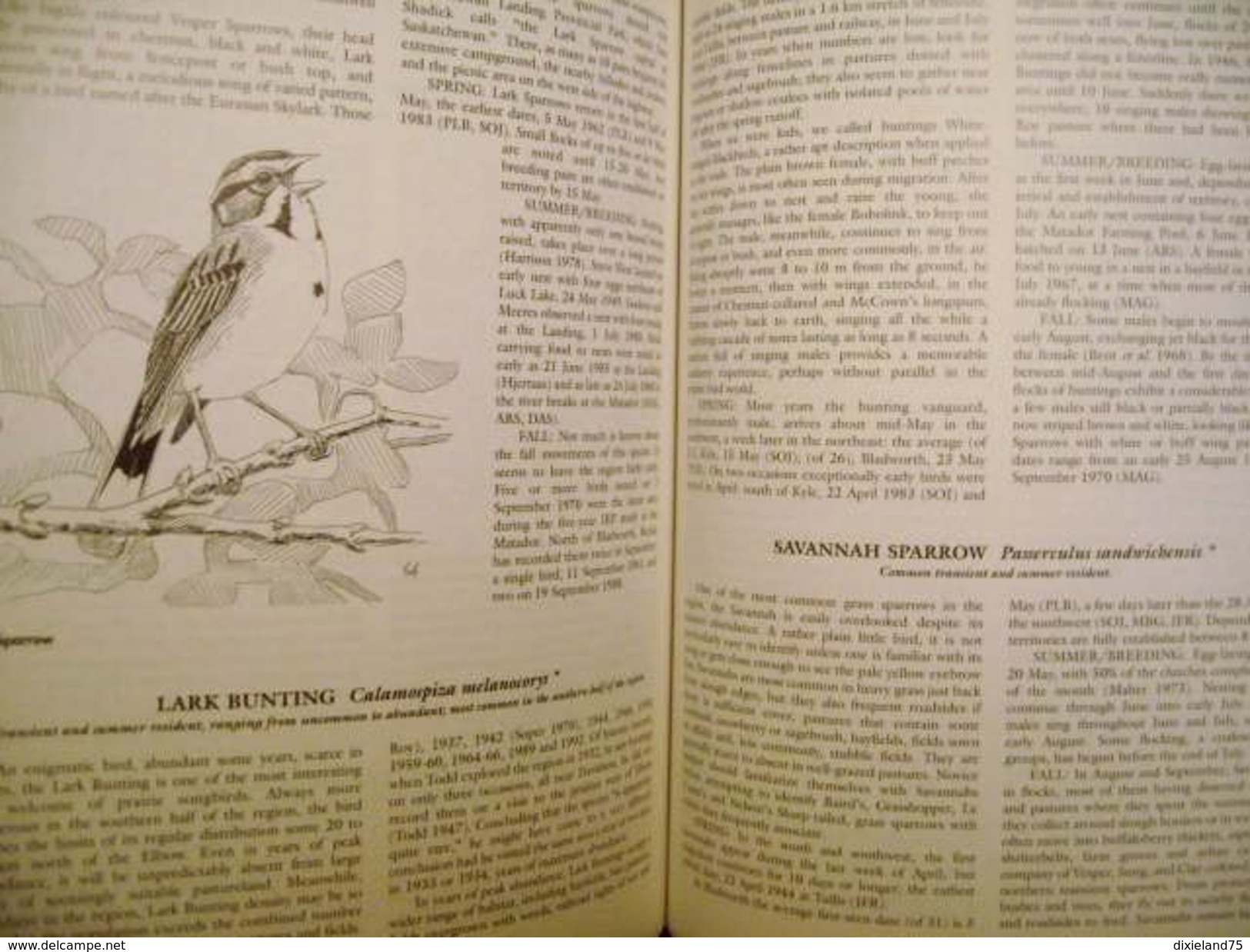 Birds Of The Elbow 1996 F. Roy BIRD OISEAU ORNITHOLOGIE Ecologie Animaux Nature Science - Wildlife