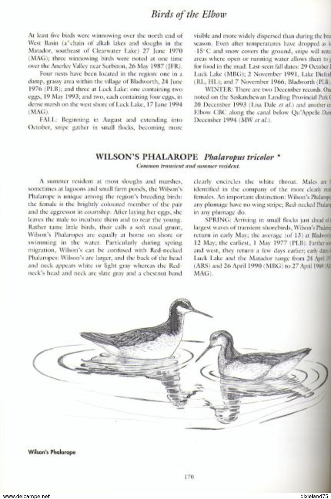 Birds Of The Elbow 1996 F. Roy BIRD OISEAU ORNITHOLOGIE Ecologie Animaux Nature Science - Wildlife