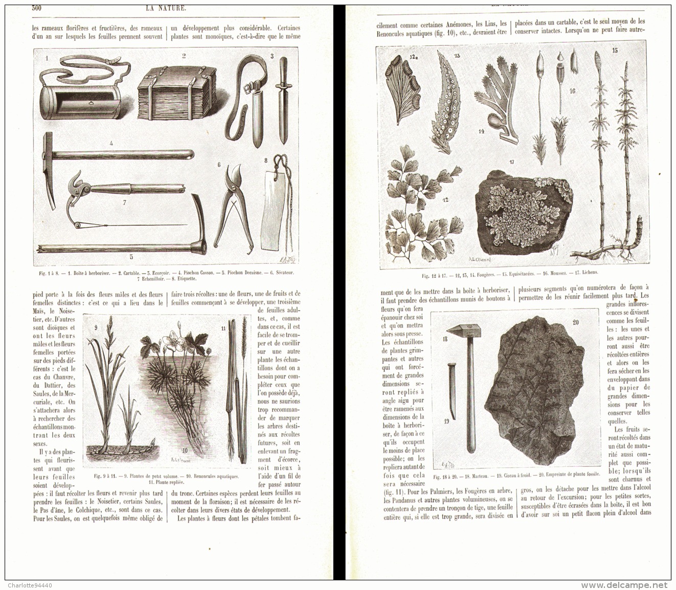 RECOLTE Et PREPARATION " DES PLANTES POUR COLLECTIONS "  1889 - Jardinage