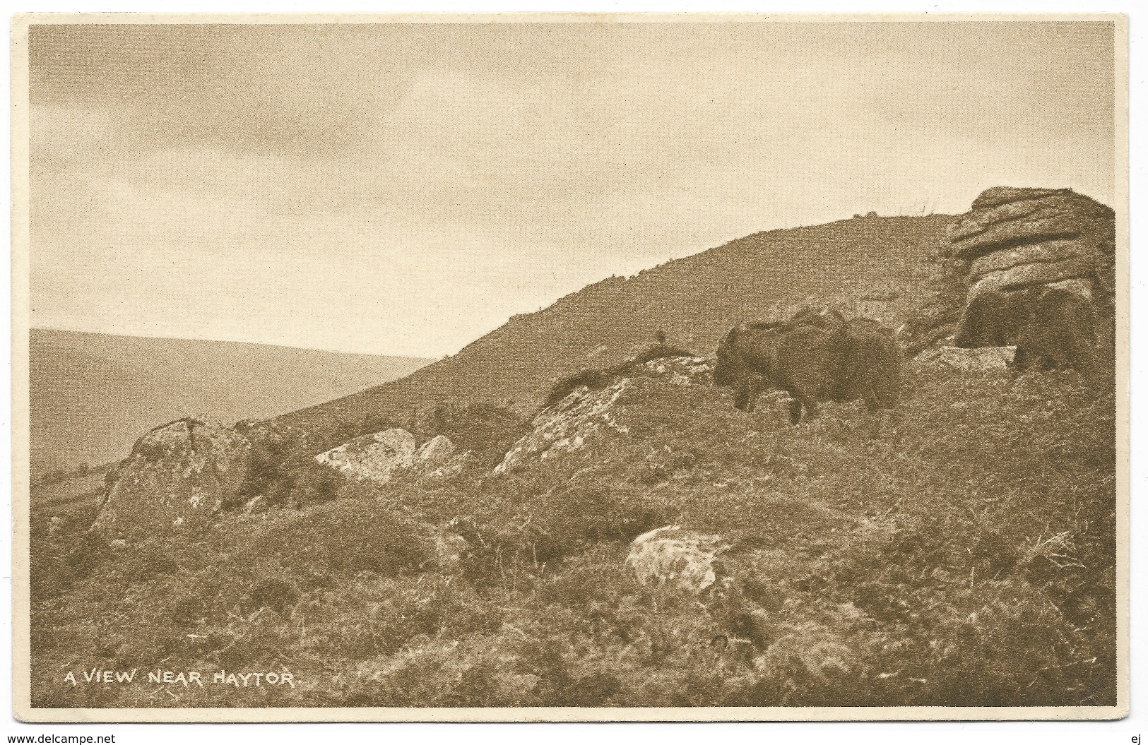 A View Near Haytor - Unused - Haytor Tea House Dartmoor - Dartmoor