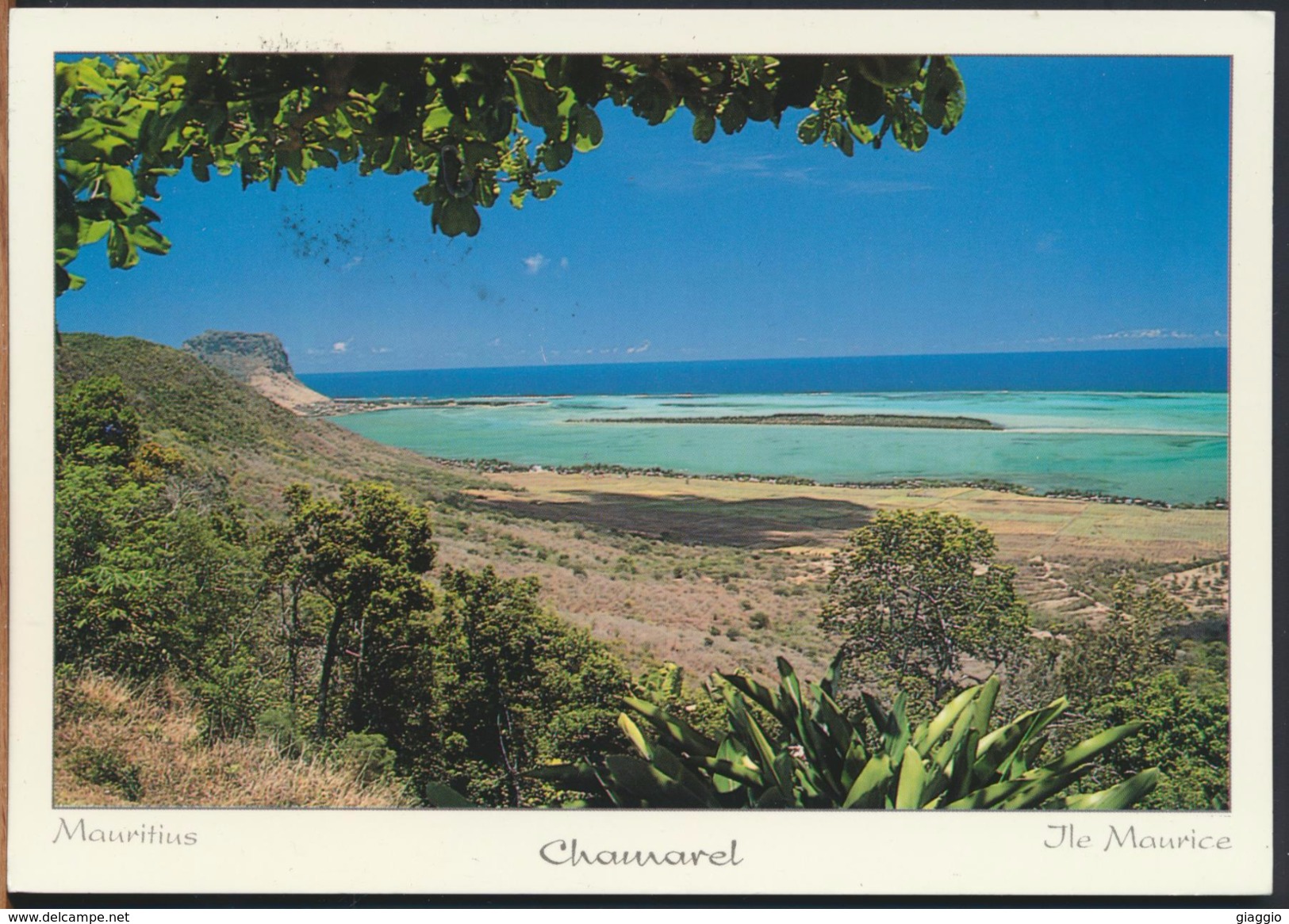 °°° 1179 - MAURITIUS - LA TERRASSE DU RESTAURANT LE CHAMAREL - With Stamps °°° - Mauritius