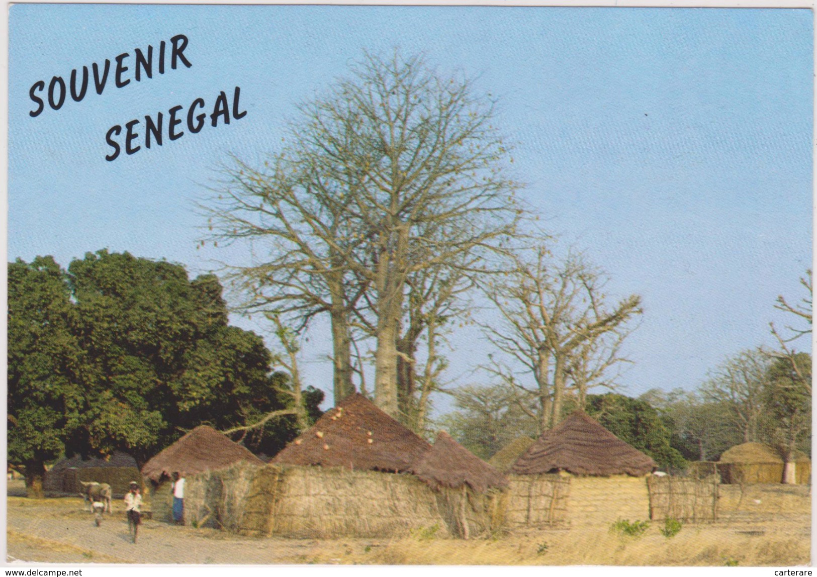 AFRIQUE DE L´OUEST,Sénégal,prés Guinée,SINE SALOUM,VILLAGE - Senegal