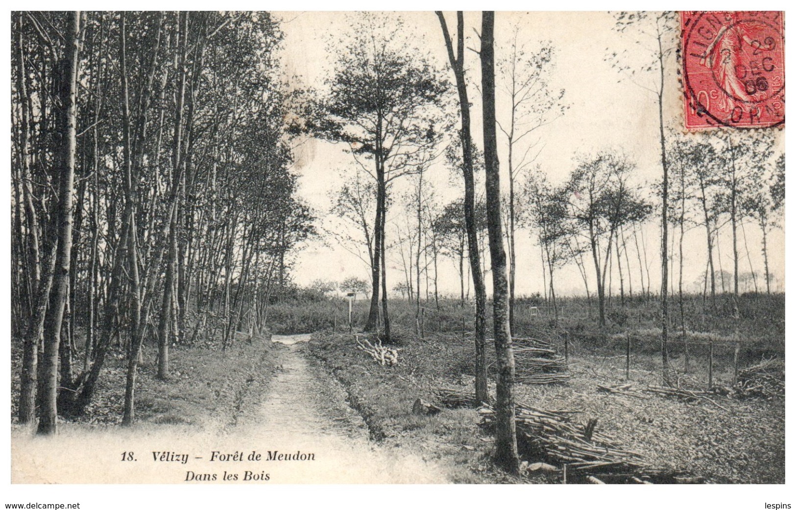 78 - VELISY -- Forêt De Meudon  - Dans Les Bois - Velizy