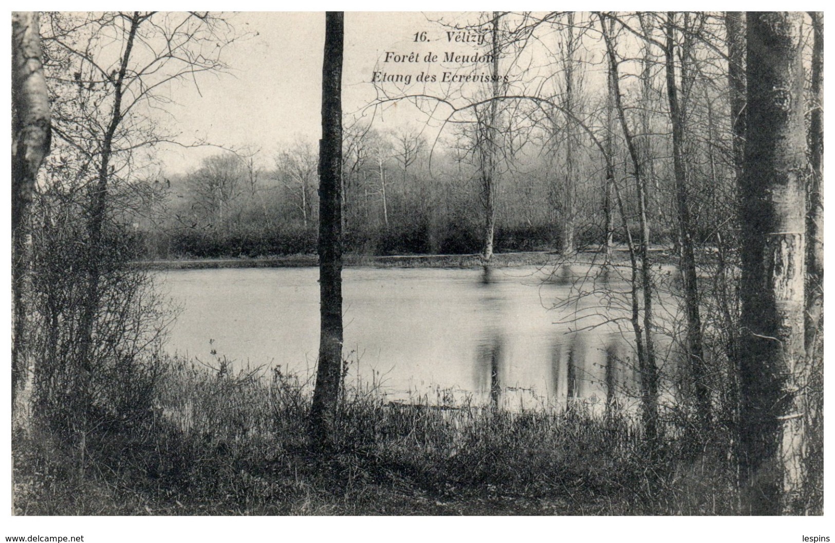 78 - VELISY -- Forêt De Meudon  - Etang Des Ecrevisses - Velizy