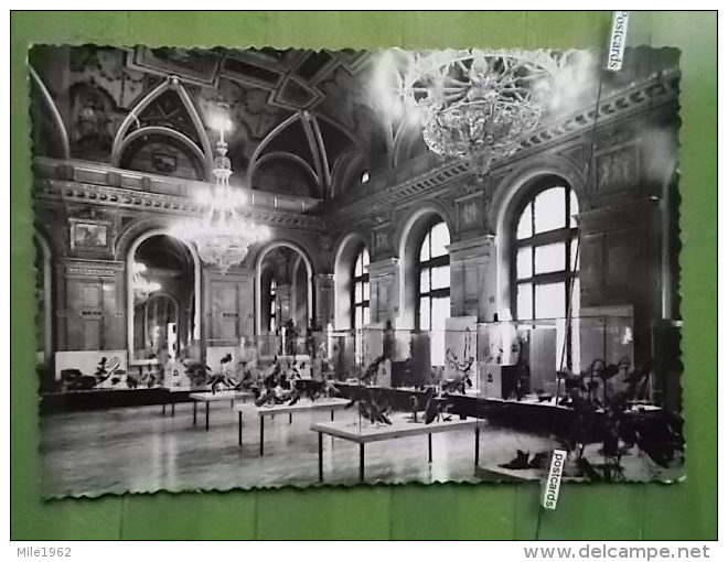 17 postcard BUDAPEST HUNGARY - KOV 1047