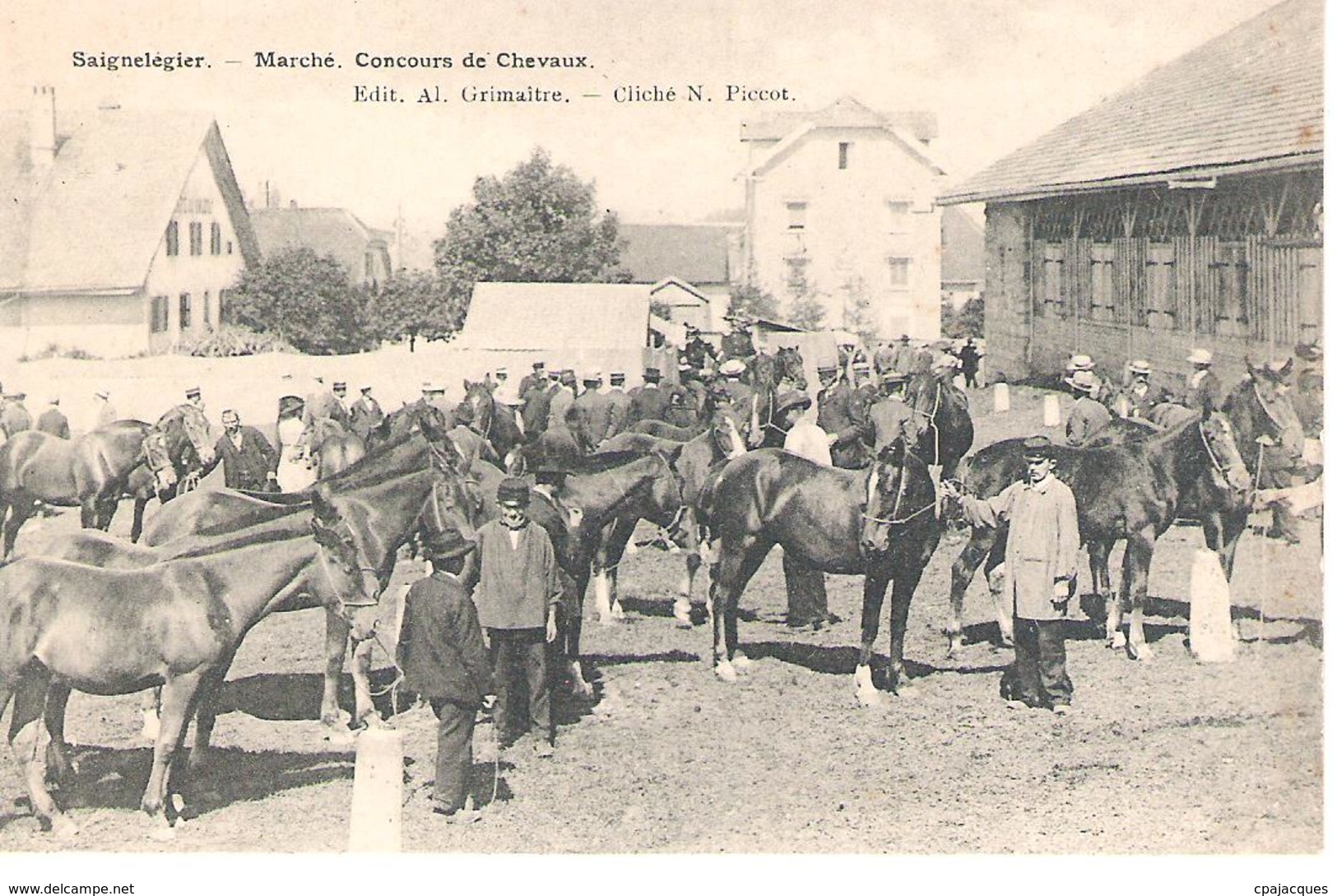 SAIGNELEGIER : MARCHE , CONCOURS DE CHEVAUX . SUPERBE ANIMATION . - Saignelégier