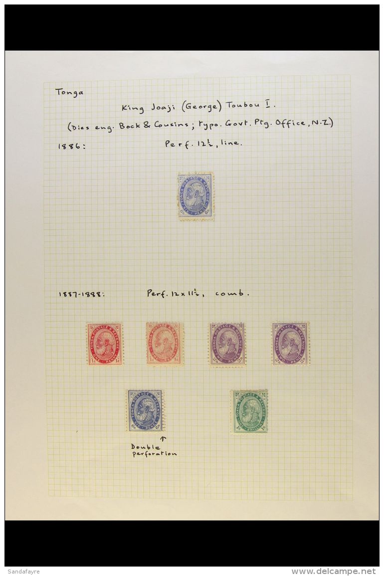 1886-99 MINT 19TH CENTURY COLLECTION Presented On  Written Up Sleeved Pages (ideal For Philatelic Club... - Tonga (...-1970)