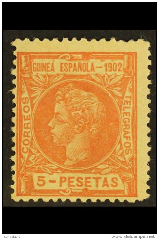 GUINEA 1902 5p Pale Red Top Value, SG 8 Or Edifil 8, Fine Mint, Centred To Lower Left. For More Images, Please... - Autres & Non Classés