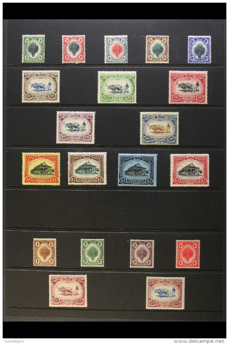 KEDAH 1912-21 MINT SELECTION On A Stock Page. Includes 1912 MCA Watermark Set (SG 1/14) &amp; 1919-21 New Colour... - Sonstige & Ohne Zuordnung