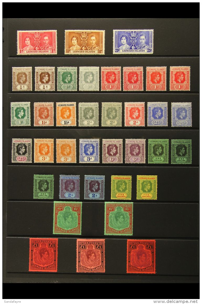 1937-54 VERY FINE MINT COLLECTION On Stock Pages. Includes 1937 Coronation Set, 1938-51 Definitive Range With All... - Leeward  Islands