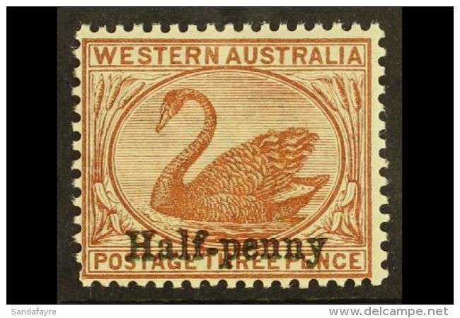 WESTERN AUSTRALIA 1895 &frac12;d On 3d Red- Brown, SG 111b, Never Hinged Mint. Both Surcharges Perfectly Alligned... - Sonstige & Ohne Zuordnung