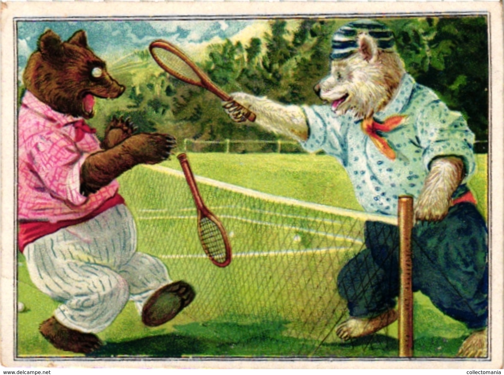 1 Card C1900 SPORT  Pub A LA VIERGE NOIR Bruxelles  Tennis Dressed Animals Pole Bear Against Bear Imp Byr Litho - Trading-Karten