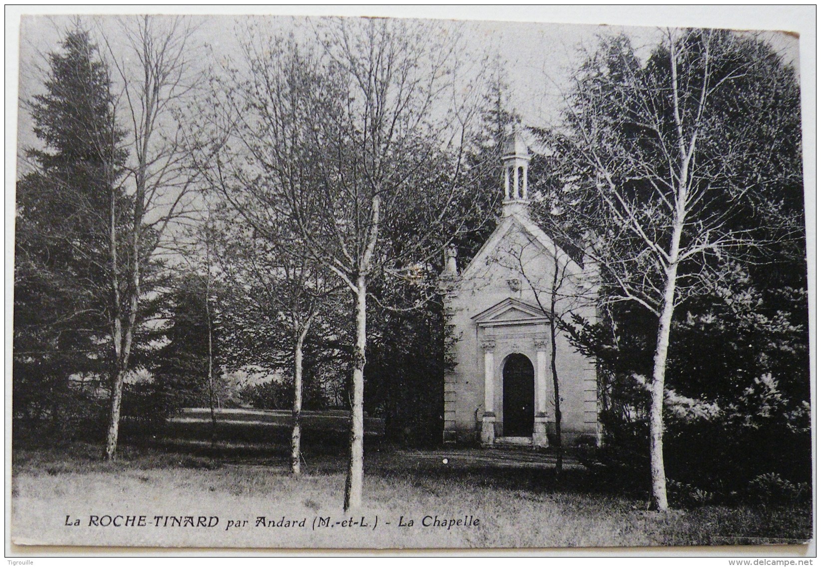 CP2004 - Andard - La Roche-Tinard &ndash; La Chapelle - Ecrite - Autres & Non Classés