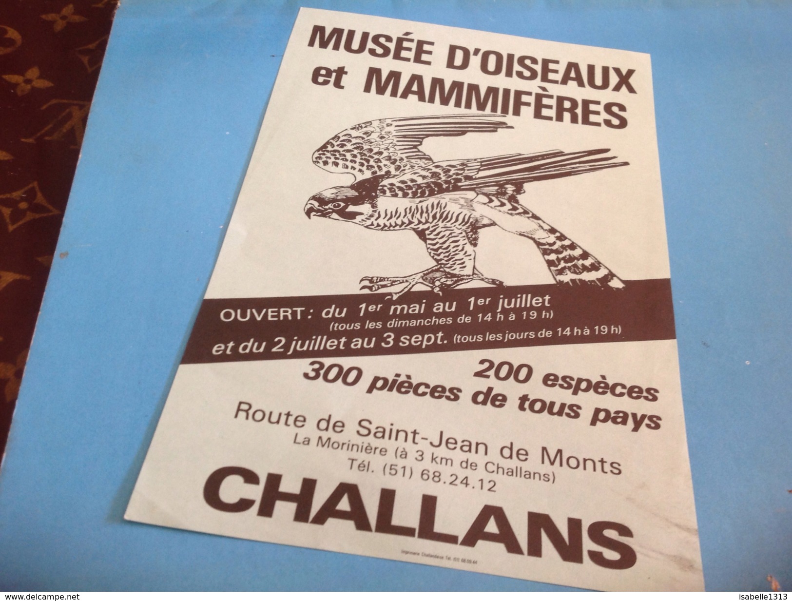 Musée D Oiseaux Et Mammifères Challans Route De St Jean De Monts Aigles Publicité - Challans