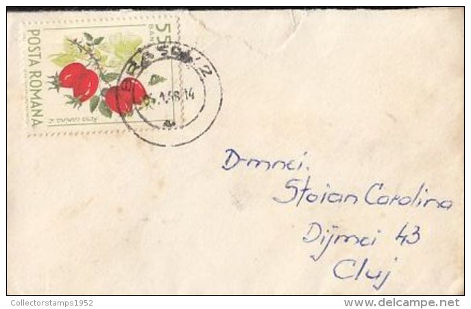 56510- ROSE HIP, STAMP ON LILIPUT COVER, 1968, ROMANIA - Brieven En Documenten