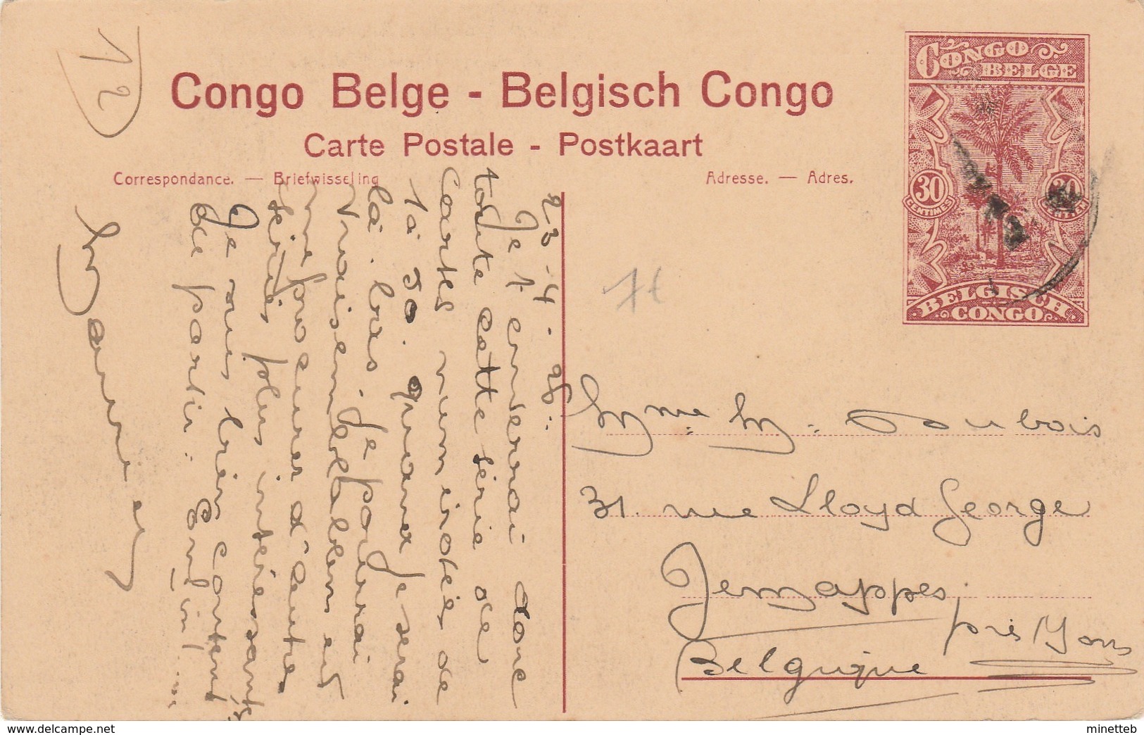 Congo Belge Panda Union Minière Usines De Broyage Et De Concentrations (entier Postal) - Congo Belga