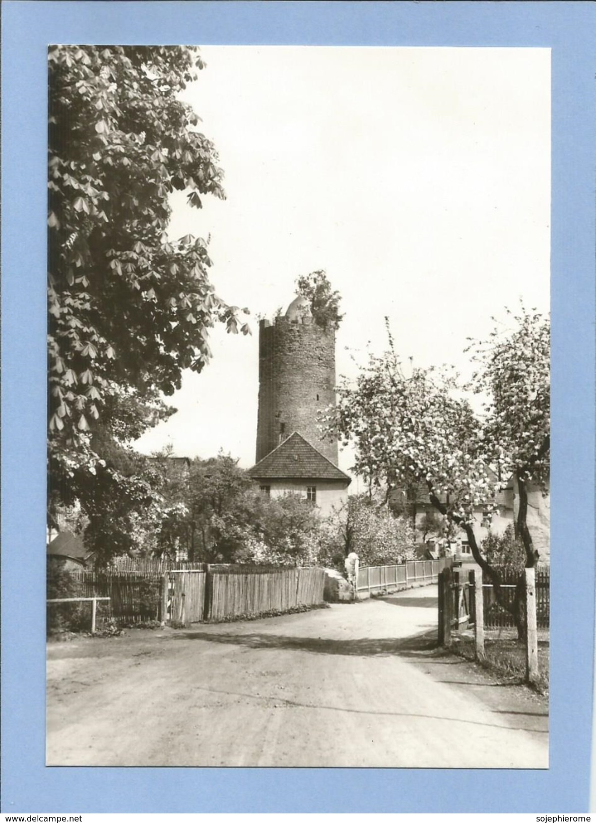 Triptis (Thüringen) 1 000jähriger Turm (Schlossturm) 2 Scans - Triptis