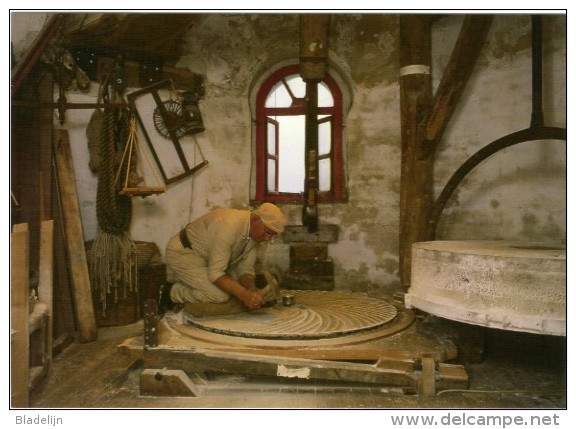 MOLENBEERSEL Bij Kinrooi (Limb.) - Molen/moulin - Interieur Keijersmolen - Molenaar Theo Keijers Scherpt De Molenstenen. - Kinrooi