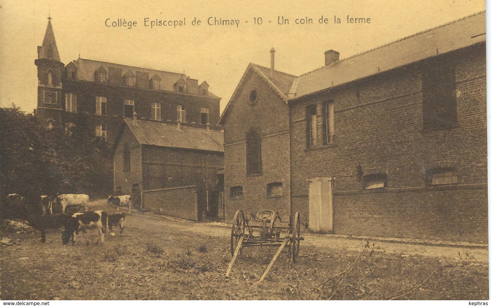 Collège Episcopal De CHIMAY - 10 - Un Coin De La Ferme - Chimay