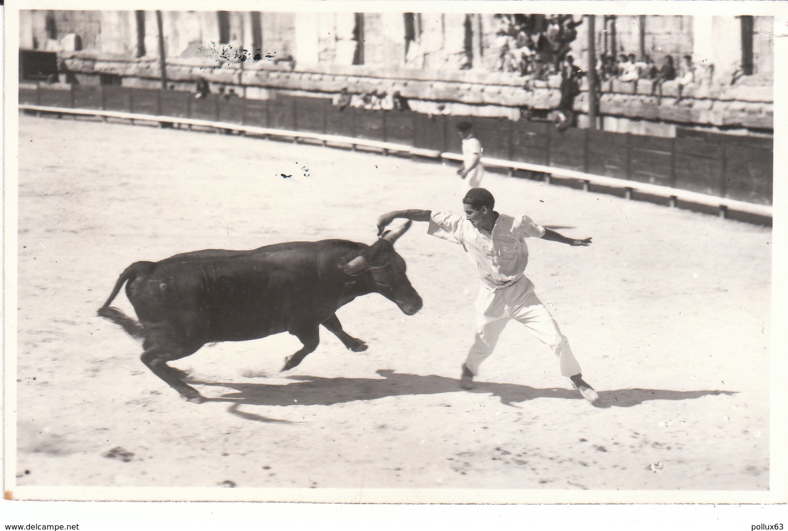 CARTE-PHOTO ARLES (13) RASETTEUR (PHOTO GEORGE à ARLES) - Arles