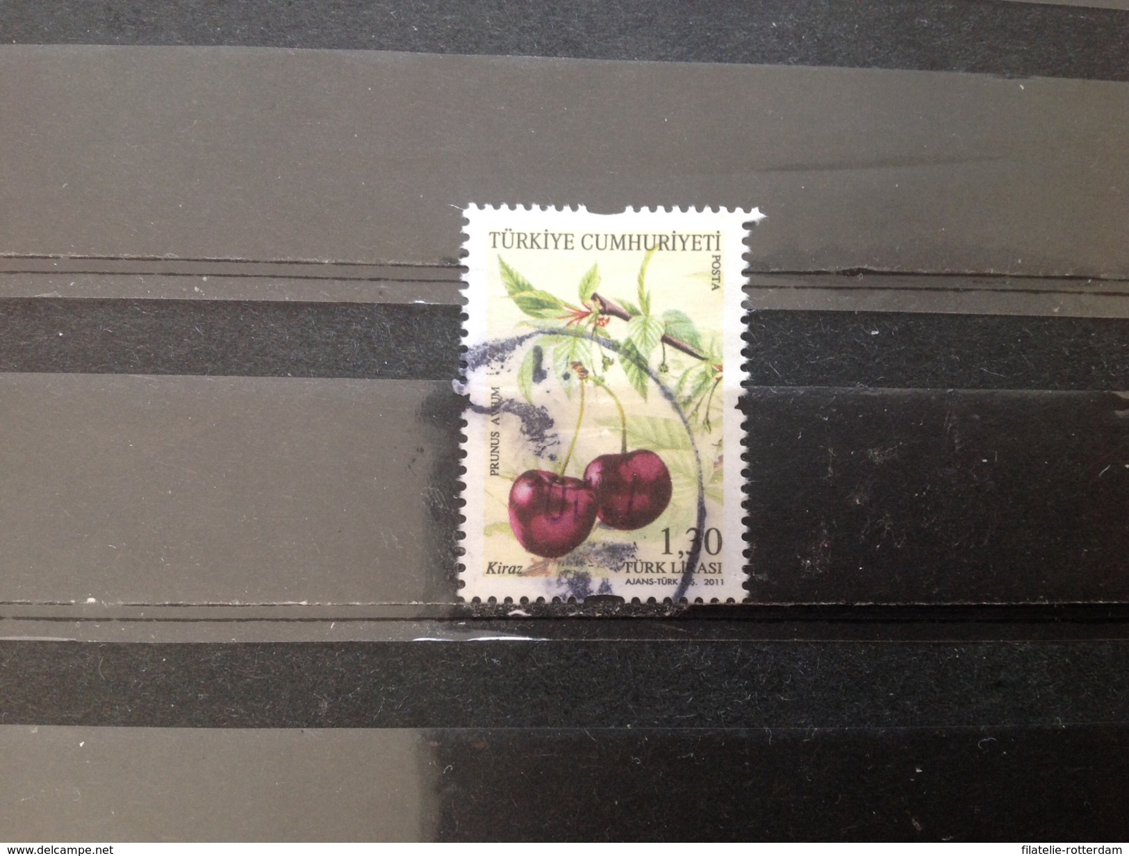 Turkije / Turkey - Vruchten (1.30) 2011 - Used Stamps