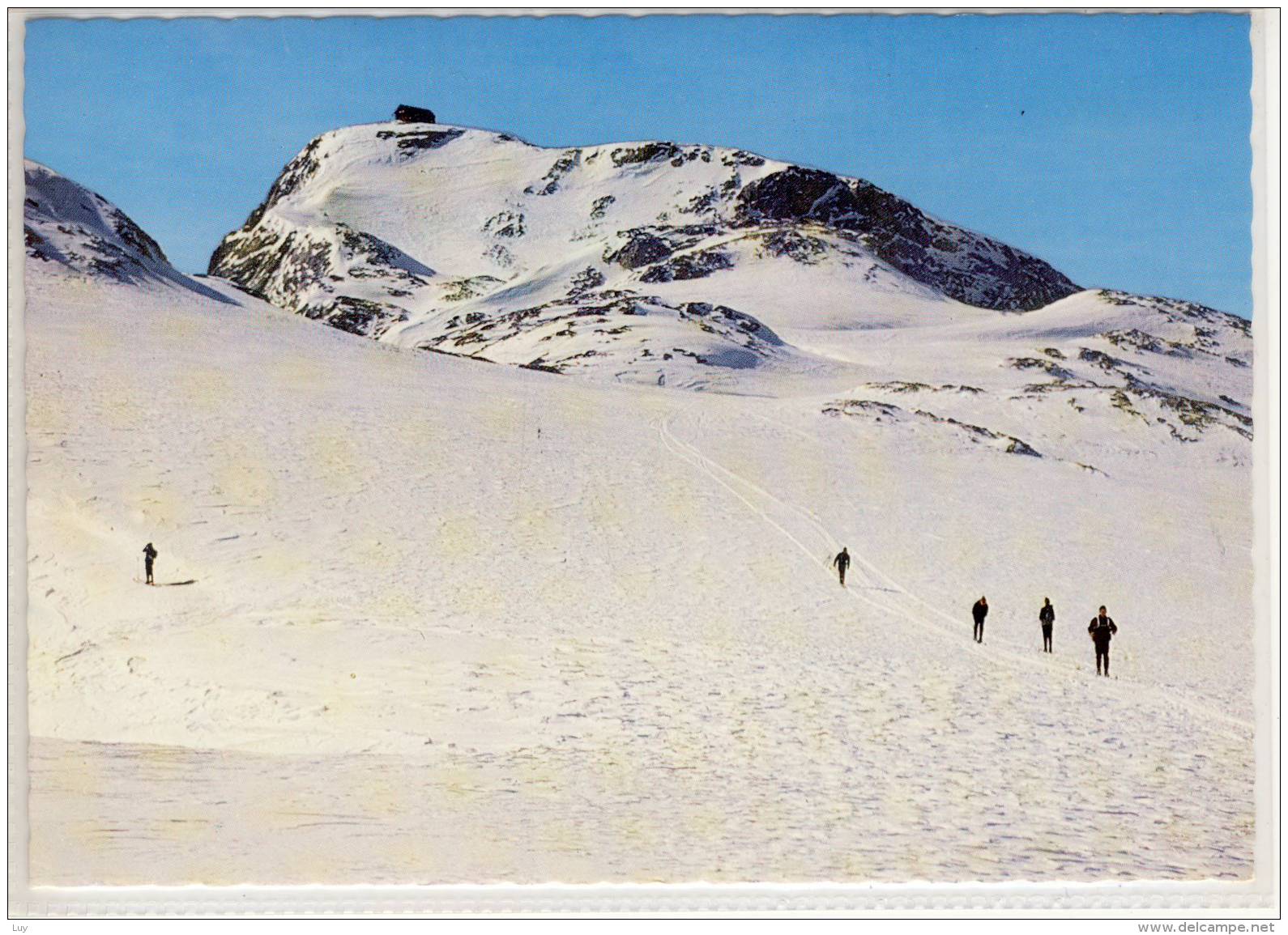 HOCHKÖNIG GLETSCHER; Glacier, Übergossene Alm , Matreashaus , Alpinistique - Mühlbach Am Hochkönig