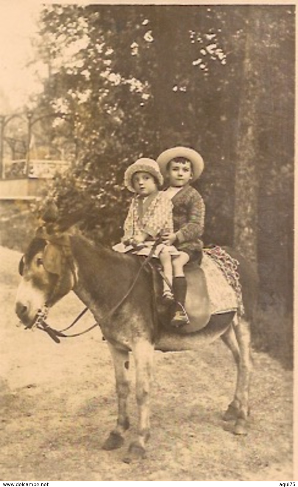 Enfants Sur Un âne - Sonstige & Ohne Zuordnung