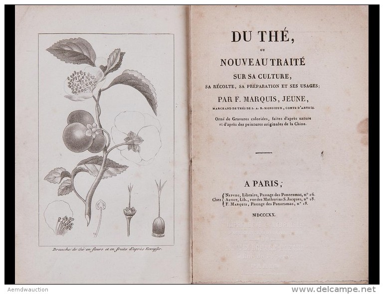 F. MARQUIS, MARCHAND DE TH&eacute; &agrave; PARIS - Du Th&eacute;, Ou Nouvea - Non Classés