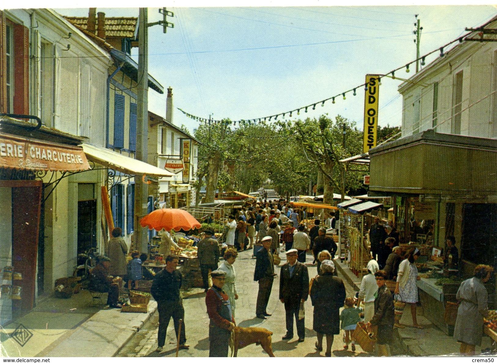 17 - CHATELAILLON - Rue Du Marché - Châtelaillon-Plage